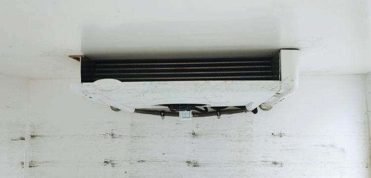 RENAULT Master3 PHASE 2 GCF CCTR3500 L2 2,3 DCI 110 CV Frigo Hay BLANC FH-337-EZ