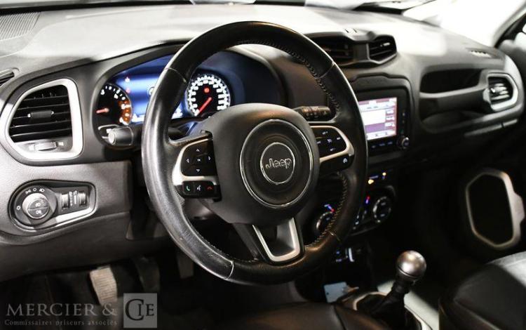JEEP RENEGADE 1,6 MULTIJET 120 LIMITED S&S 2WD GRIS DQ-787-RJ