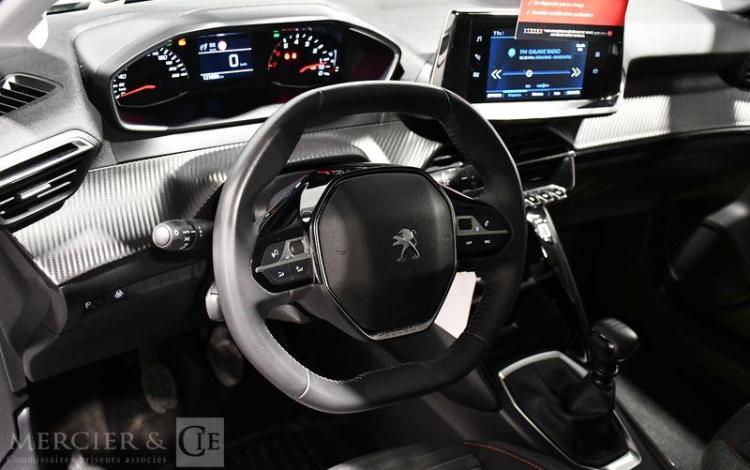 PEUGEOT 208 HDI 100CH BUSINESS GRIS GE-544-GJ