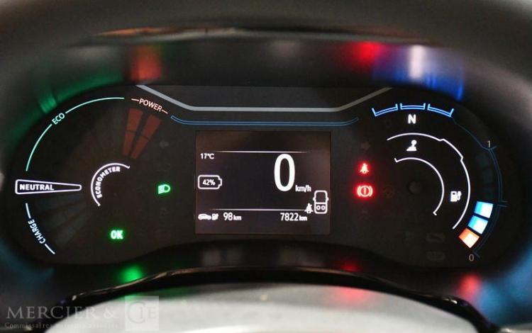 DACIA SPRING ACHAT INTEGRAL CONFORT PLUS 5P GRIS GF-994-AL