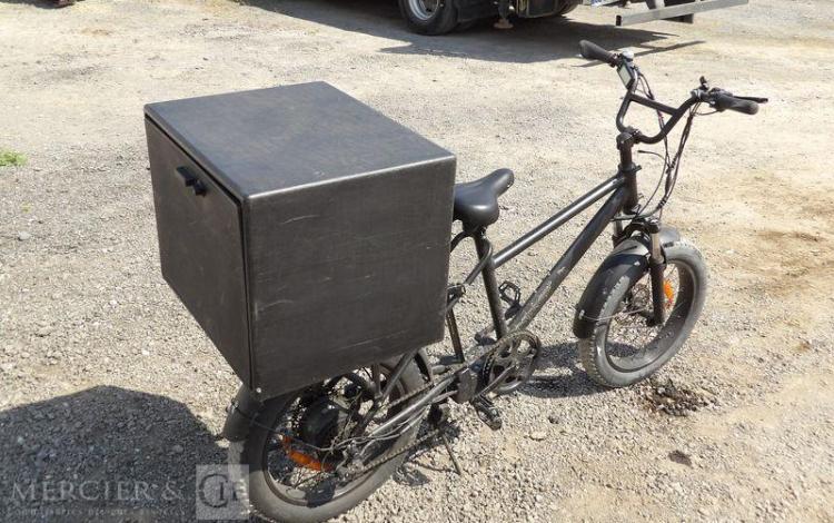POWER BIKES VELO RAS RUNNER EU A ASSISTANCE ELECTRIQUE  QB-2494-VV