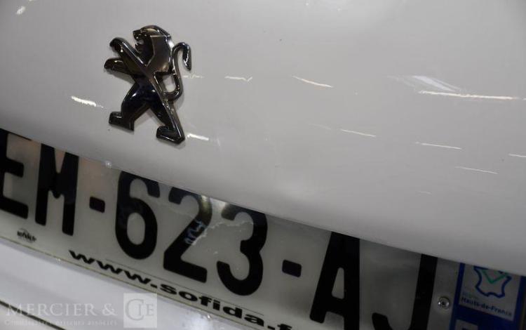 PEUGEOT 208 STE 1,6 BLUE HDI 100 PREMIUM BLANC EM-623-AJ