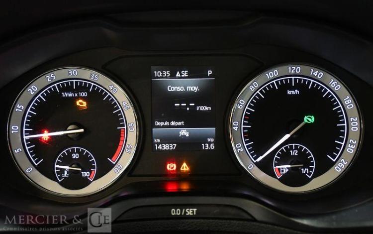 SKODA KAROQ 2.0 TDI 115 SCR BUSINESS DSG JAUNE GA-019-XD