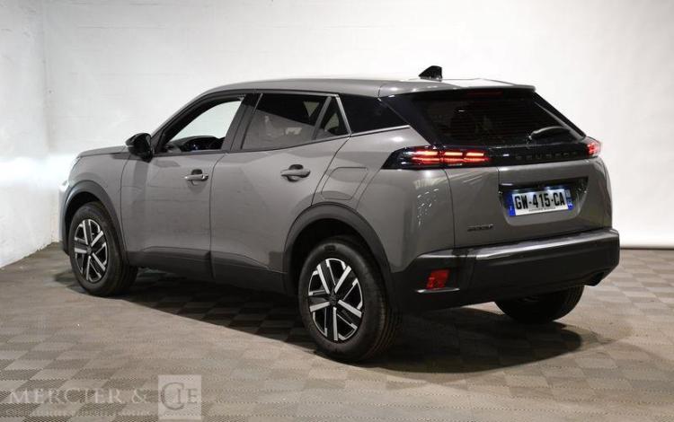 PEUGEOT 2008 ACTIVE PURETECH GRIS GW-415-CA