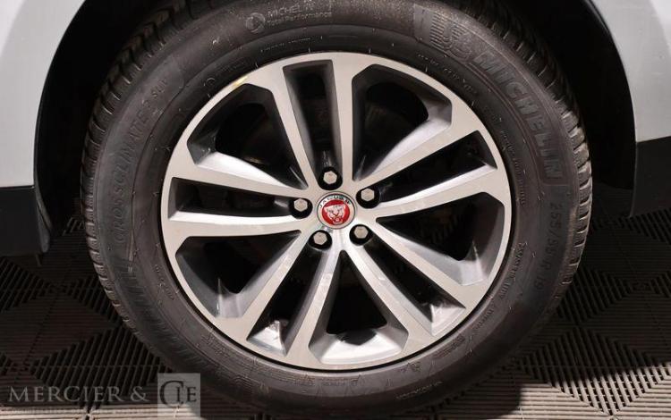 JAGUAR F-PACE 2.0 D180 180 PURE AWD BVA BLANC EN-974-NP