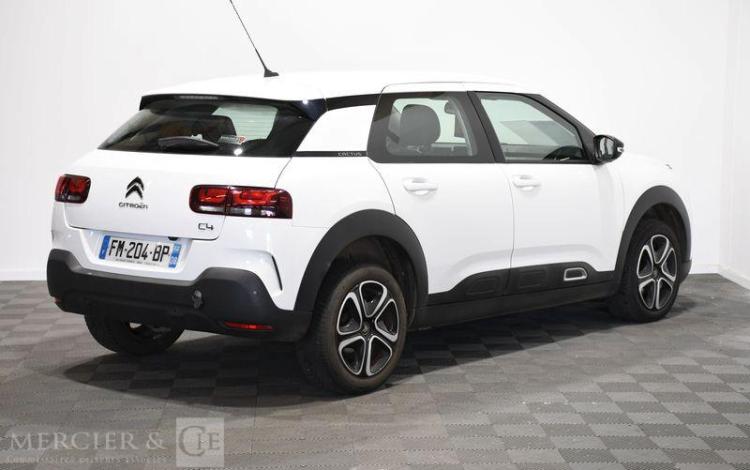 CITROEN C4 CACTUS BLUEHDI 120 S&S EAT6 BLANC FM-204-BP