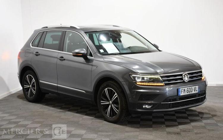 VOLKSWAGEN TIGUAN GRIS FM-600-VL
