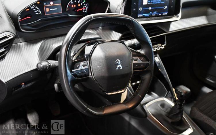 PEUGEOT 208 ACTIVE BUSINESS BLUEHDI 100 GRIS FW-377-YX