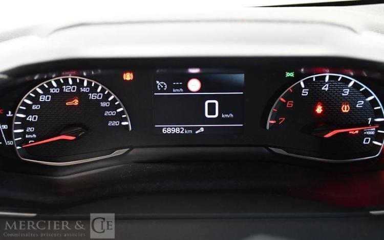PEUGEOT 208 ACTIVE BUSINESS BLUEHDI 100 GRIS FW-377-YX