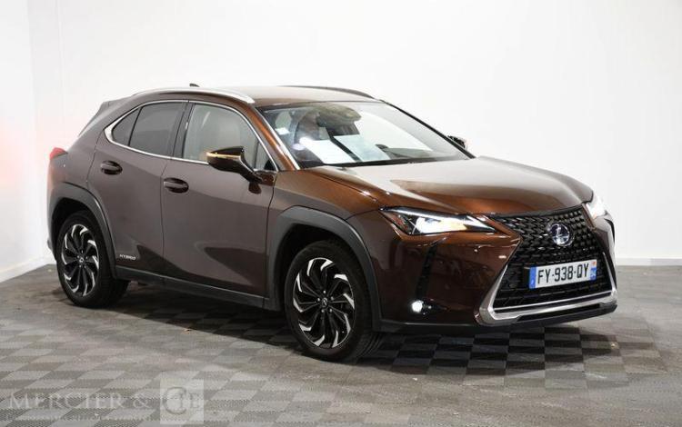 LEXUS UX LUXE PLUS MARRON FY-938-QY