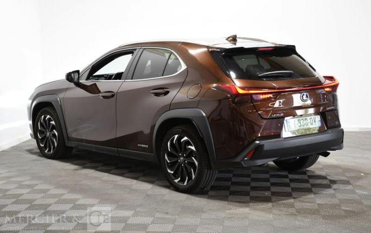 LEXUS UX LUXE PLUS MARRON FY-938-QY