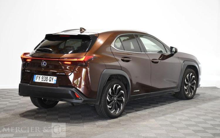 LEXUS UX LUXE PLUS MARRON FY-938-QY