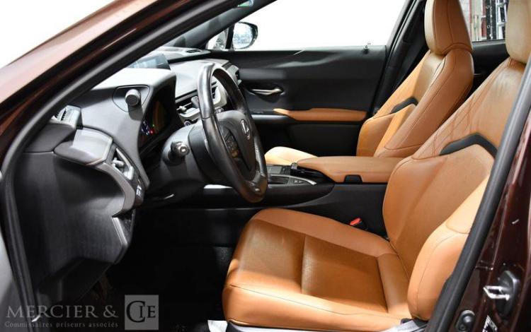 LEXUS UX LUXE PLUS MARRON FY-938-QY