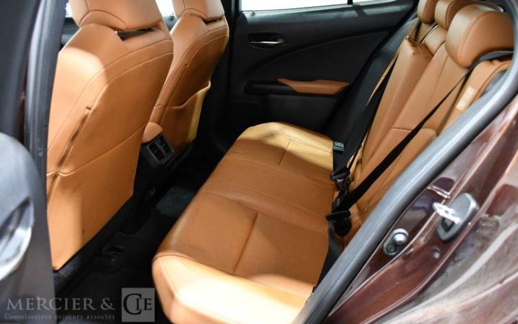LEXUS UX LUXE PLUS MARRON FY-938-QY