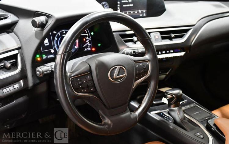 LEXUS UX LUXE PLUS MARRON FY-938-QY