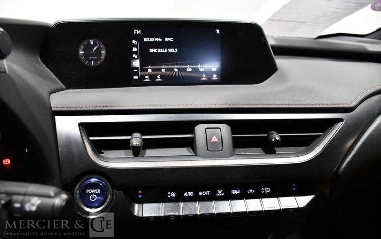 LEXUS UX LUXE PLUS MARRON FY-938-QY