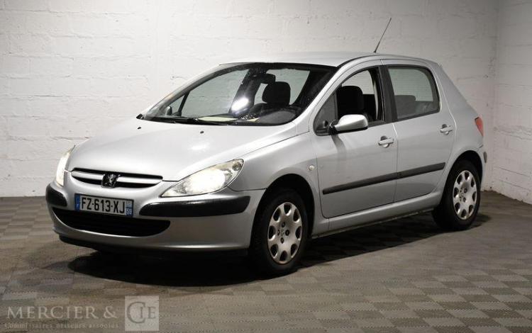 PEUGEOT 307  FZ-613-XJ