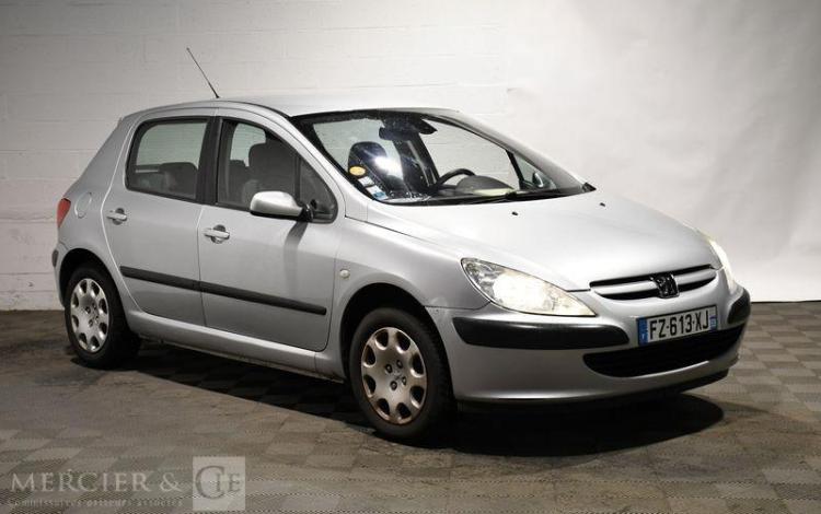 PEUGEOT 307  FZ-613-XJ