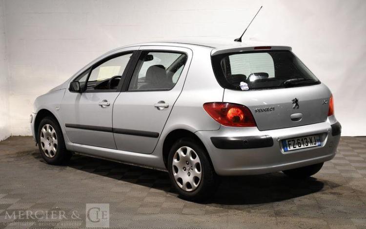 PEUGEOT 307  FZ-613-XJ