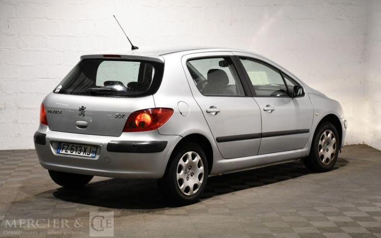 PEUGEOT 307  FZ-613-XJ
