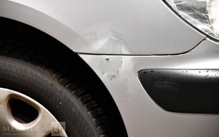 PEUGEOT 307  FZ-613-XJ