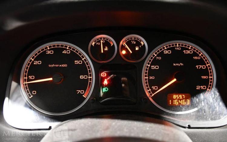 PEUGEOT 307  FZ-613-XJ