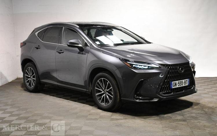 LEXUS NX 350H GRIS GN-555-BT