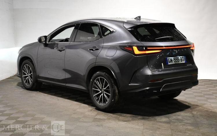 LEXUS NX 350H GRIS GN-555-BT