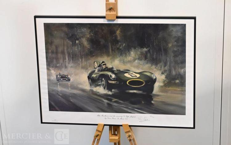 DION PEARS JAGUAR D-TYPE/MIKE HAWTHORN LE MANS 1955  33