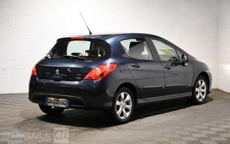 PEUGEOT 308 GRIS CA-033-GC