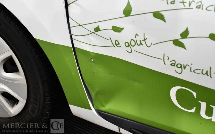 RENAULT CLIO BLANC DY-233-WD