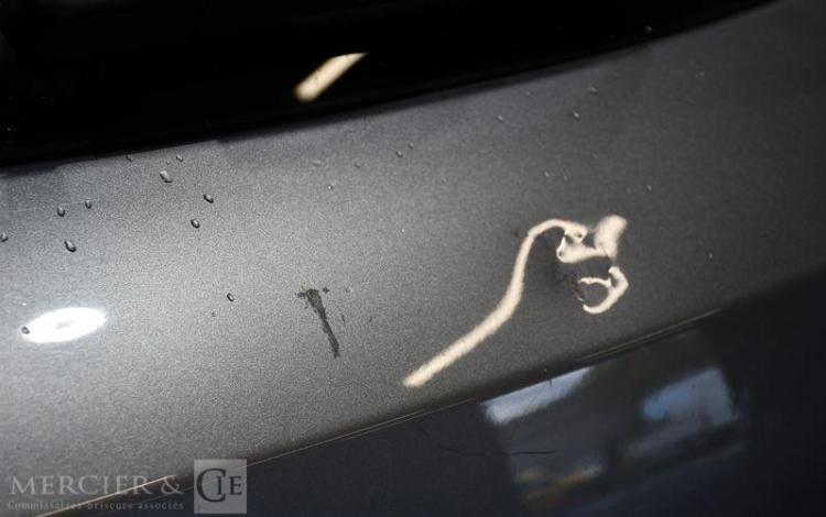 CITROEN C4 CACTUS 100CH FEEL BUSINESS GRIS FB-626-SC