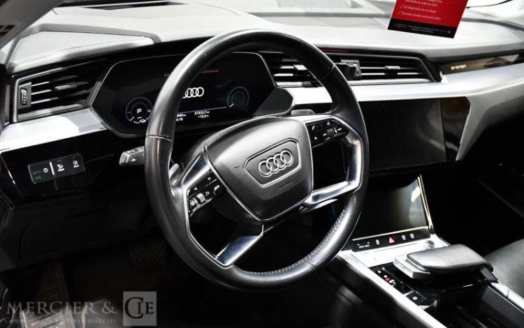 AUDI E TRON NOIR FM-741-YK