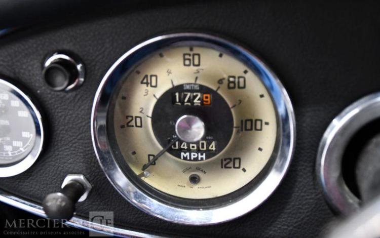AUSTIN HEALEY 3000 3,0 124CV  GA-039-WP