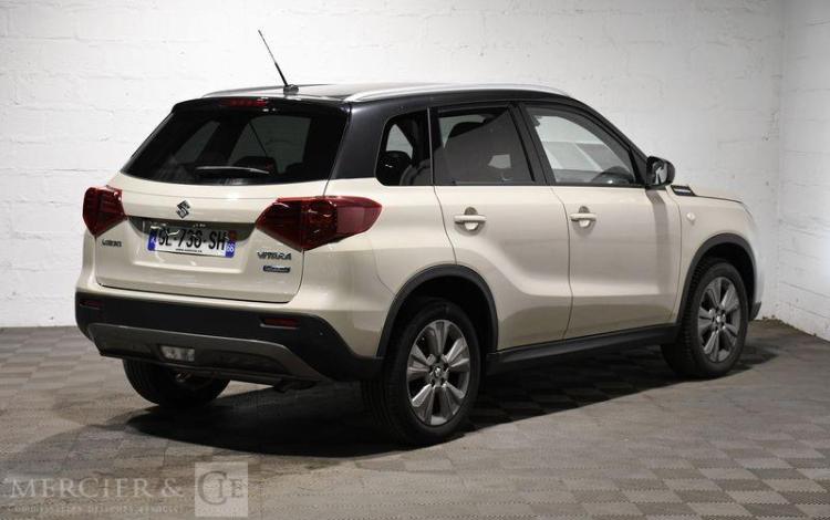 SUZUKI VITARA BEIGE GL-736-SH