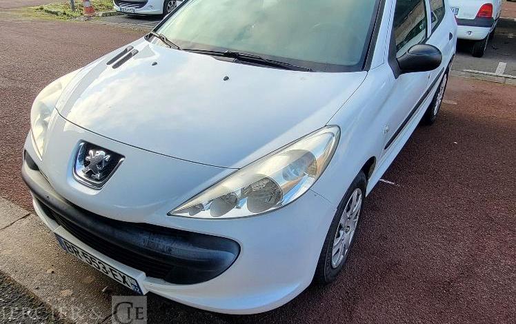 PEUGEOT 206 +  BR-553-EX