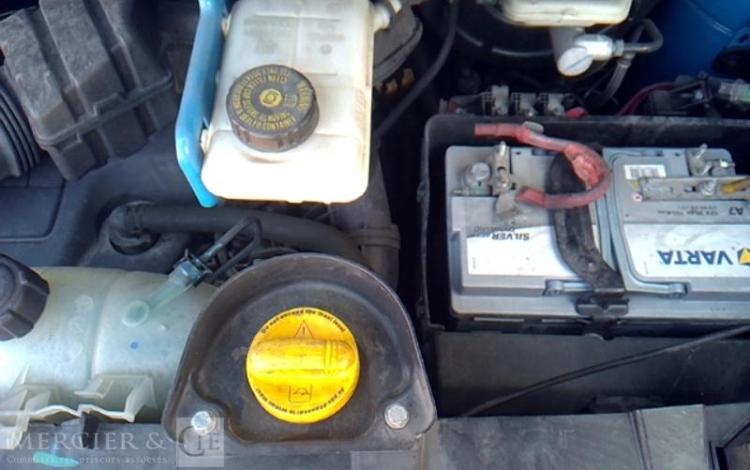 RENAULT TRAFIC 1.6 DCI 90 1T0 L1H1 GRAND-CONFORT BLEU DN-005-JH