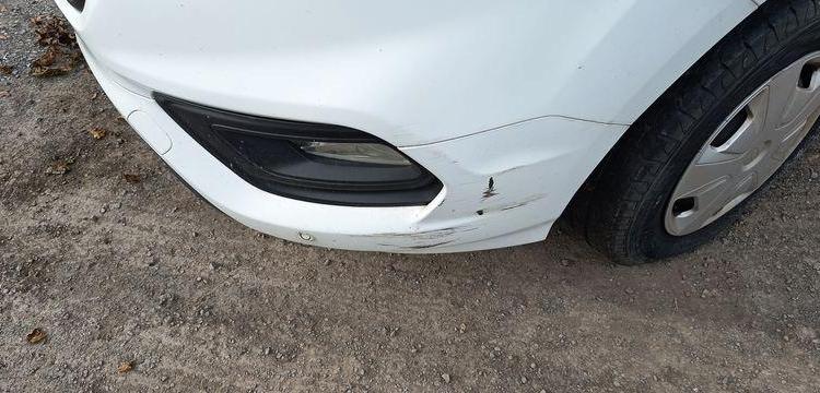 FORD TRANSIT CUSTOM T270 L1H1 2.0 TDCI 16V FOURGON  EY-402-CW