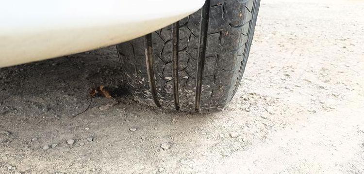 FORD TRANSIT CUSTOM T270 L1H1 2.0 TDCI 16V FOURGON  EY-402-CW