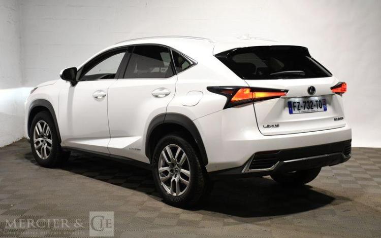 LEXUS LEXUS NX BLANC FZ-732-TQ