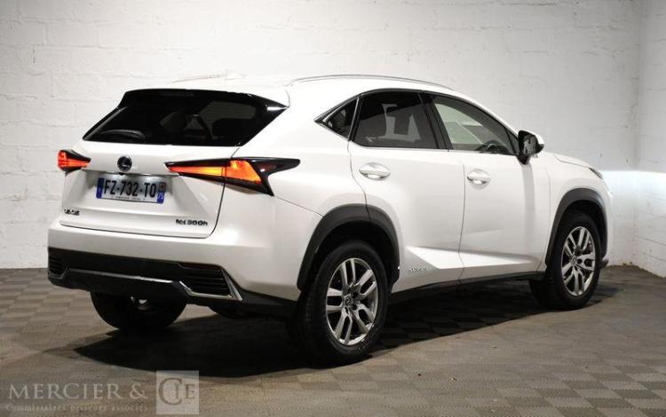 LEXUS LEXUS NX BLANC FZ-732-TQ
