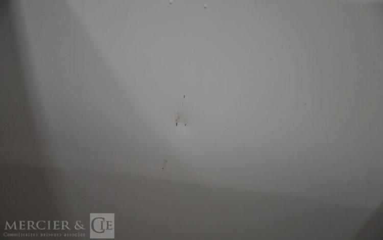 JEEP RENEGADE 1.3 GSE T4 240H 180 4XE PHEV HYBRID 11.4KWH TRAILHAWK AWD BLANC GA-766-DC