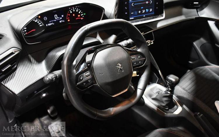 PEUGEOT 2008 ACTIVE GRIS GF-648-FC