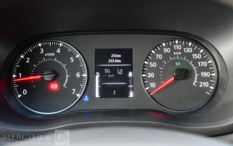 RENAULT CAMPING-CAR VAN  – DELFIN BURNSTER – MASTER 2.3DCI 145 CH  994.266