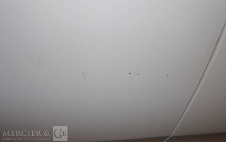 FIAT PUNTO SOCIETE 1.4 GNV 75 DYNAMIC BLANC CN-716-LJ