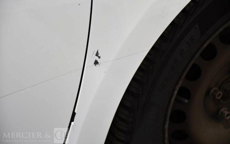 RENAULT CLIO  DW-587-RT