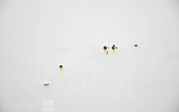 RENAULT KANGOO 1.5 DCI 75 ENERGY GRAND-CONFORT BLANC DY-889-JM