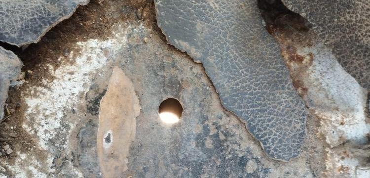 NISSAN CABSTAR 3,0 TD 125 CV AVEC NACELLE MULTITEL 160 ALU DS – DIESEL –  ANNEE 2001 BLANC DZ-453-YV