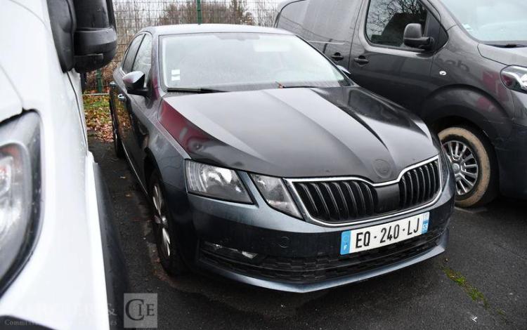 SKODA OCTAVIA 1,6 TDI 116 BUSINESS  EQ-240-LJ