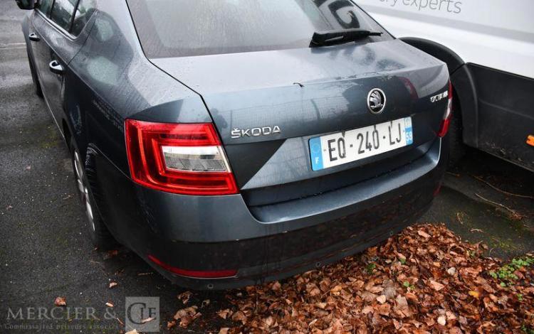 SKODA OCTAVIA 1,6 TDI 116 BUSINESS  EQ-240-LJ